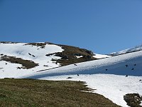 07 Gracchi Alpini sul pascolo ancora innevato